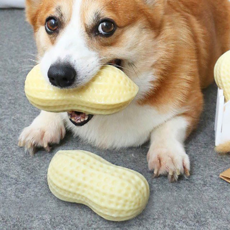Pets Peanut Rubber Tooth Chew Toy - Image 7