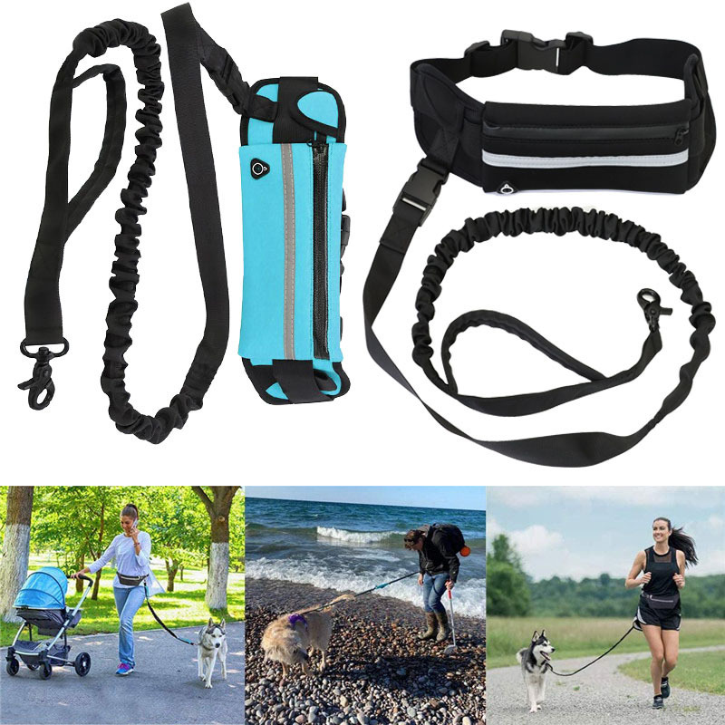 Hands Free Pet Purse Leash For Dog Walking - Image 2