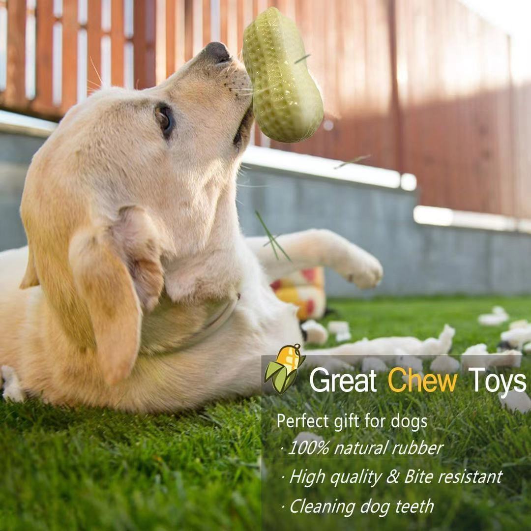 Pets Peanut Rubber Tooth Chew Toy - Image 9
