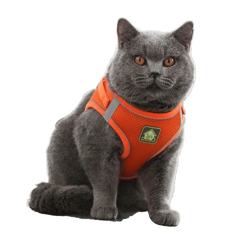 Anti-Escape Breathable Cat Walking Leash Vest - Image 3