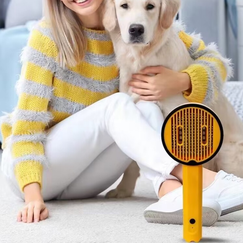 Rechargeable UV Sterilization Pet Comb