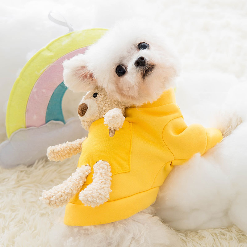 Cute Teddy Pet Dog Two-Legged Suit
