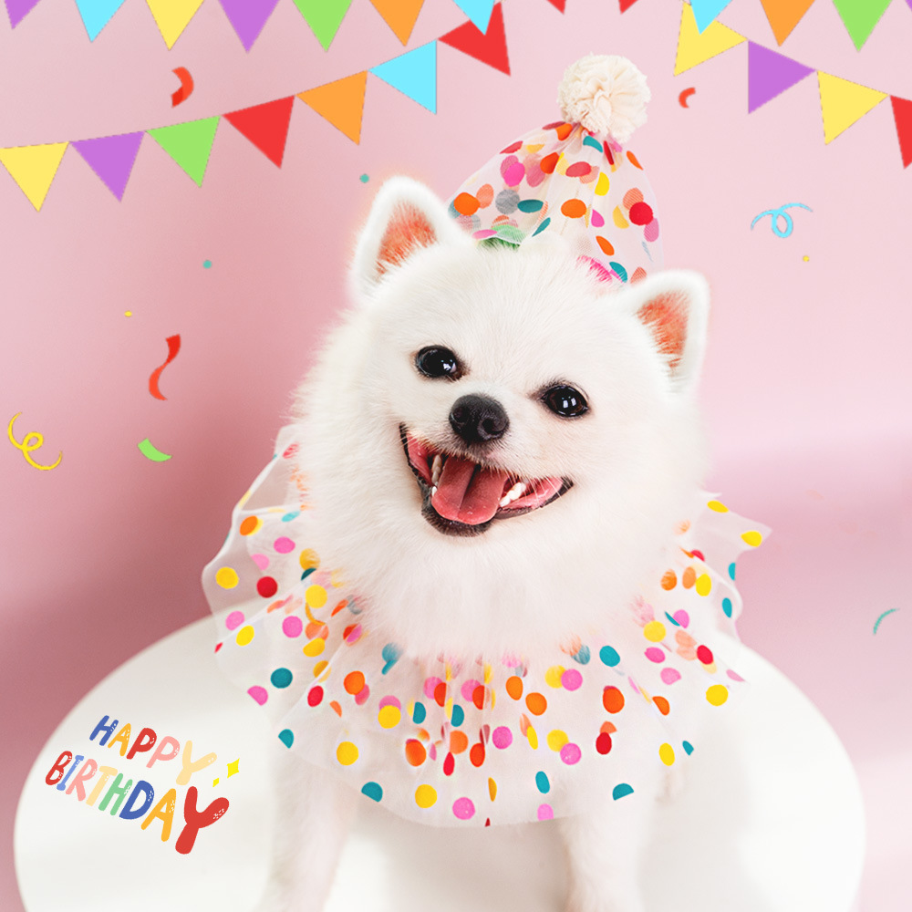 Pet Polka Dot Lace Bib Birthday Suit