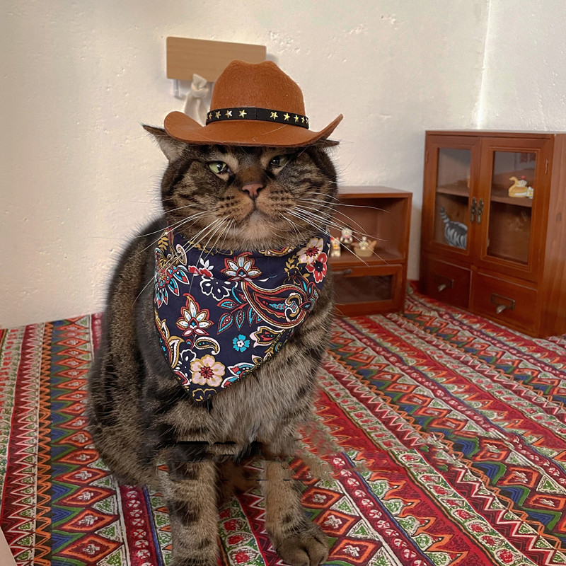 Pet Cowboy Western Decorative Hat - Image 9