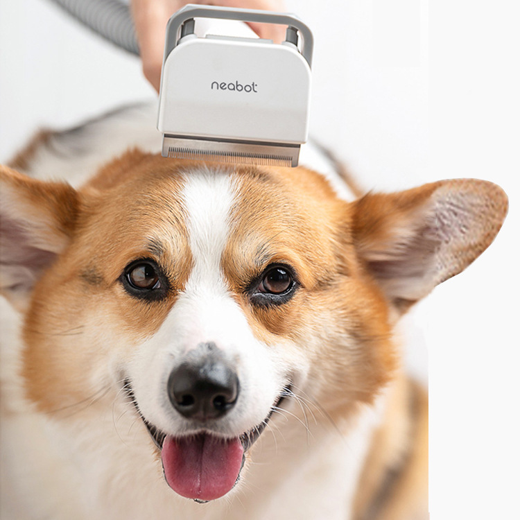 Pet Hair Grooming Comb Device - Image 6