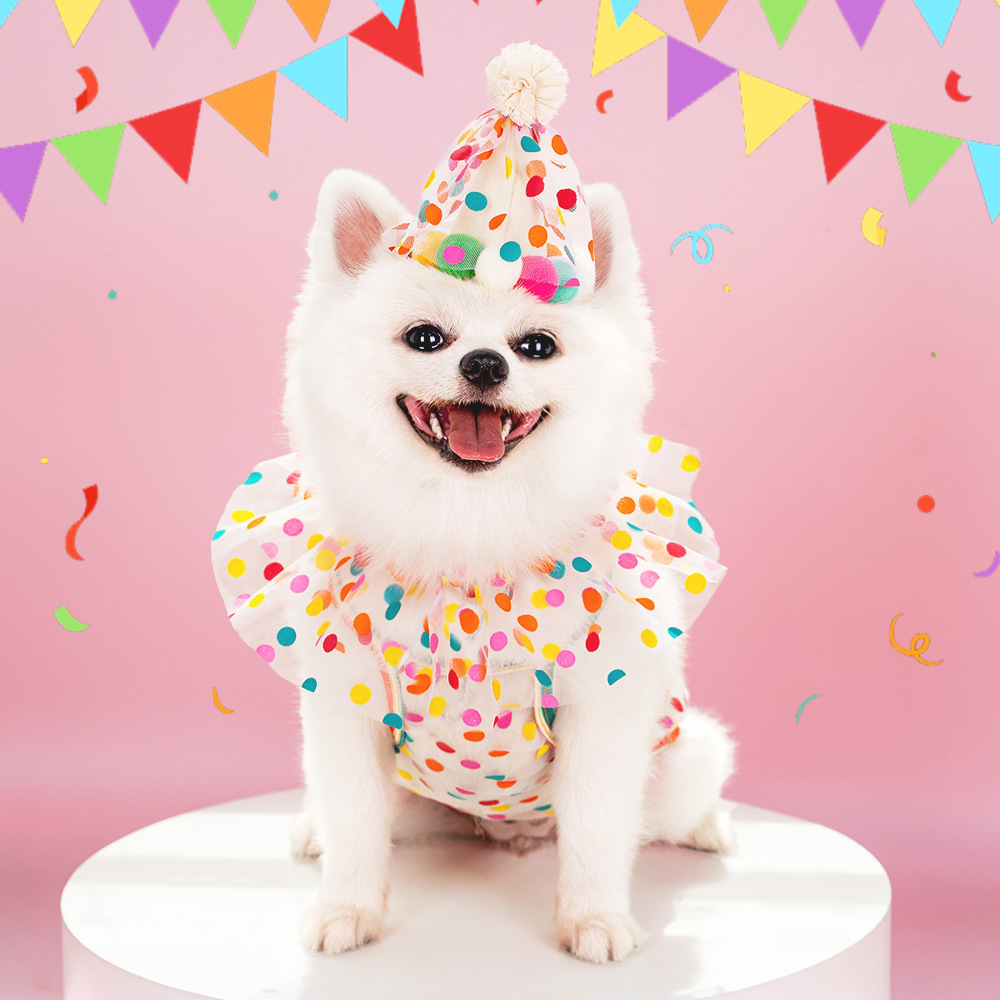 Pet Polka Dot Lace Bib Birthday Suit - Image 5