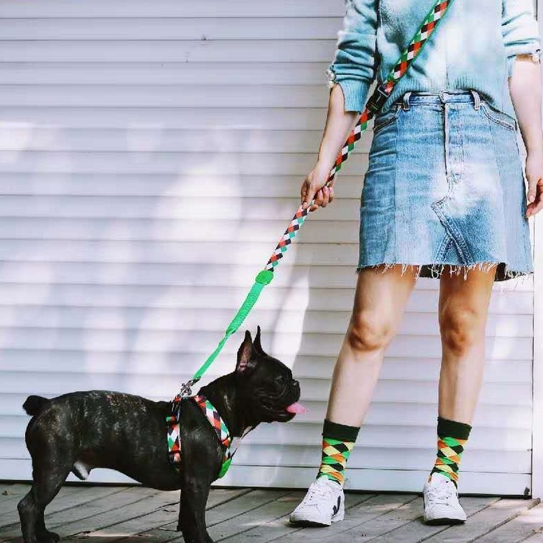 Multifunctional Buffer Pet Out Walking Dog Rope