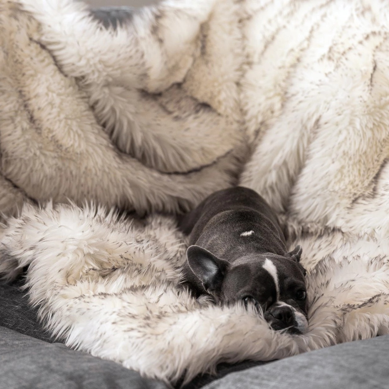 Fox Fur Waterproof Plush Dog Blanket