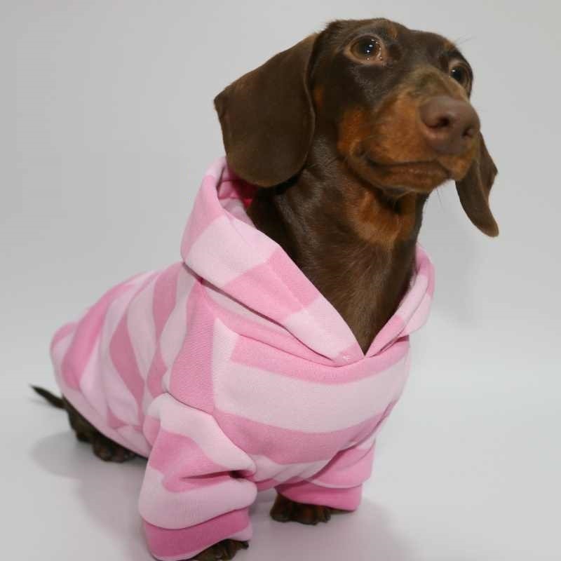 Pet Thin Velvet Pink Striped Hooded Sweater