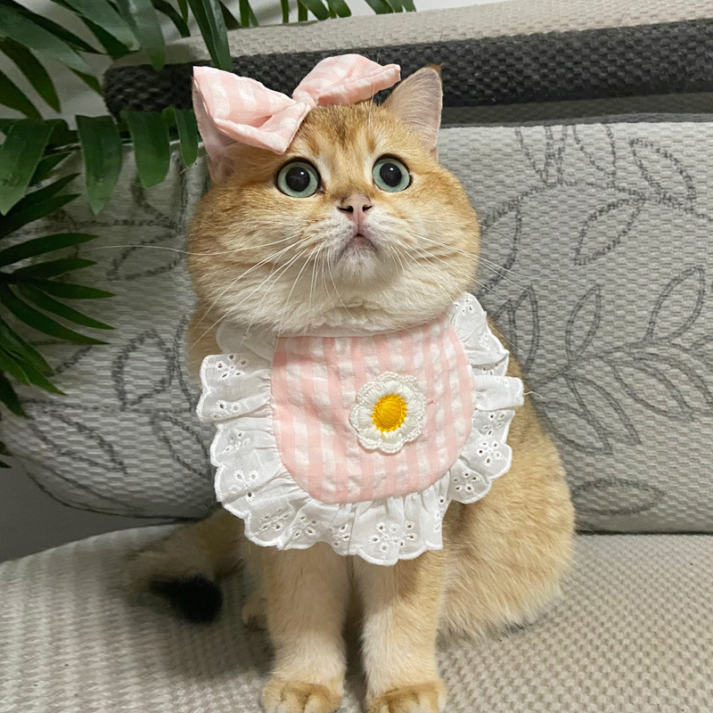 Princess Saliva Scarf Cat Lace Suit - Image 8