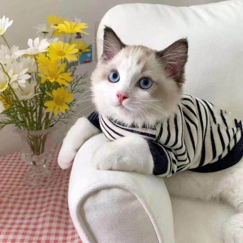 Puppet Cat Two Pod Sweater - Image 2