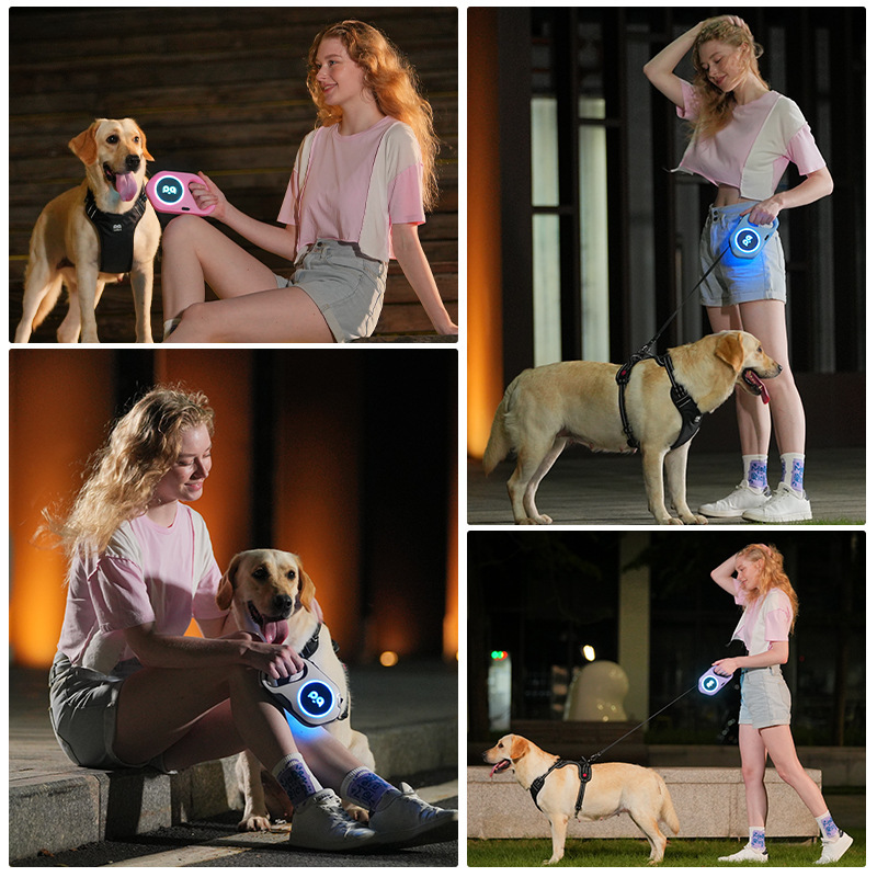 LED Dog Automatic Retractable Leash Outdoor - Image 9