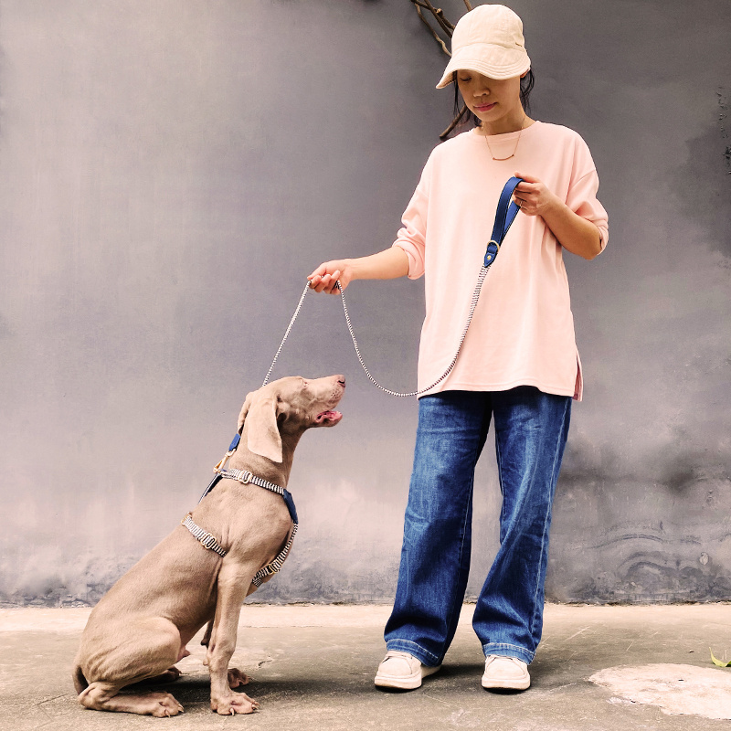 Explosion-proof Pet Vest-style Hand Holding Rope