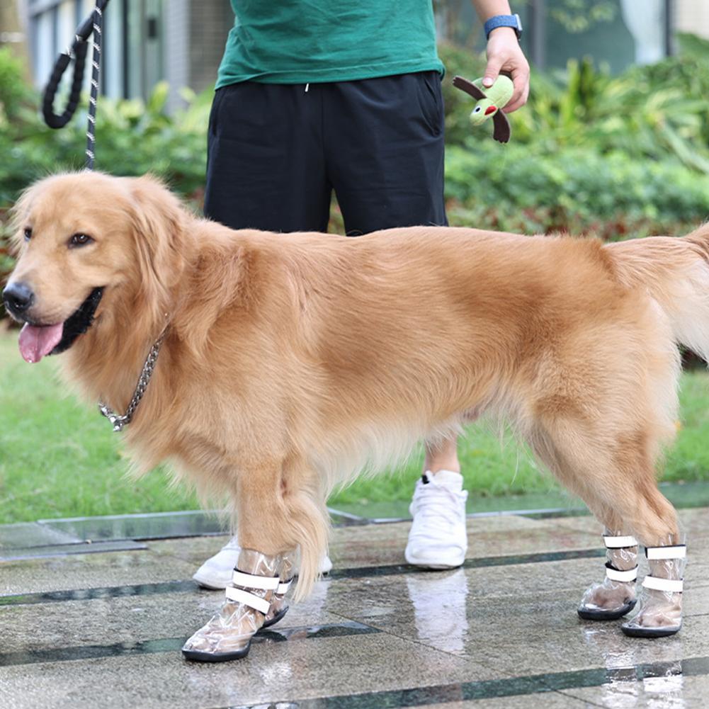 Large Waterproof Pets Splash Proof Shoes