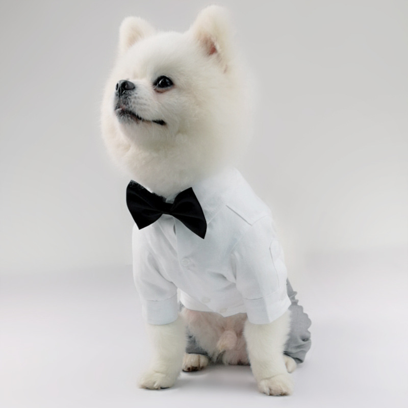 Four Legged Pet Shirt Trousers Suit