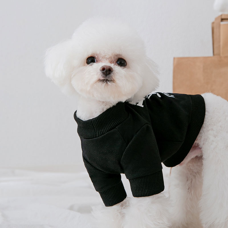 Fashion Dog Bear Printed Sweater - Image 2