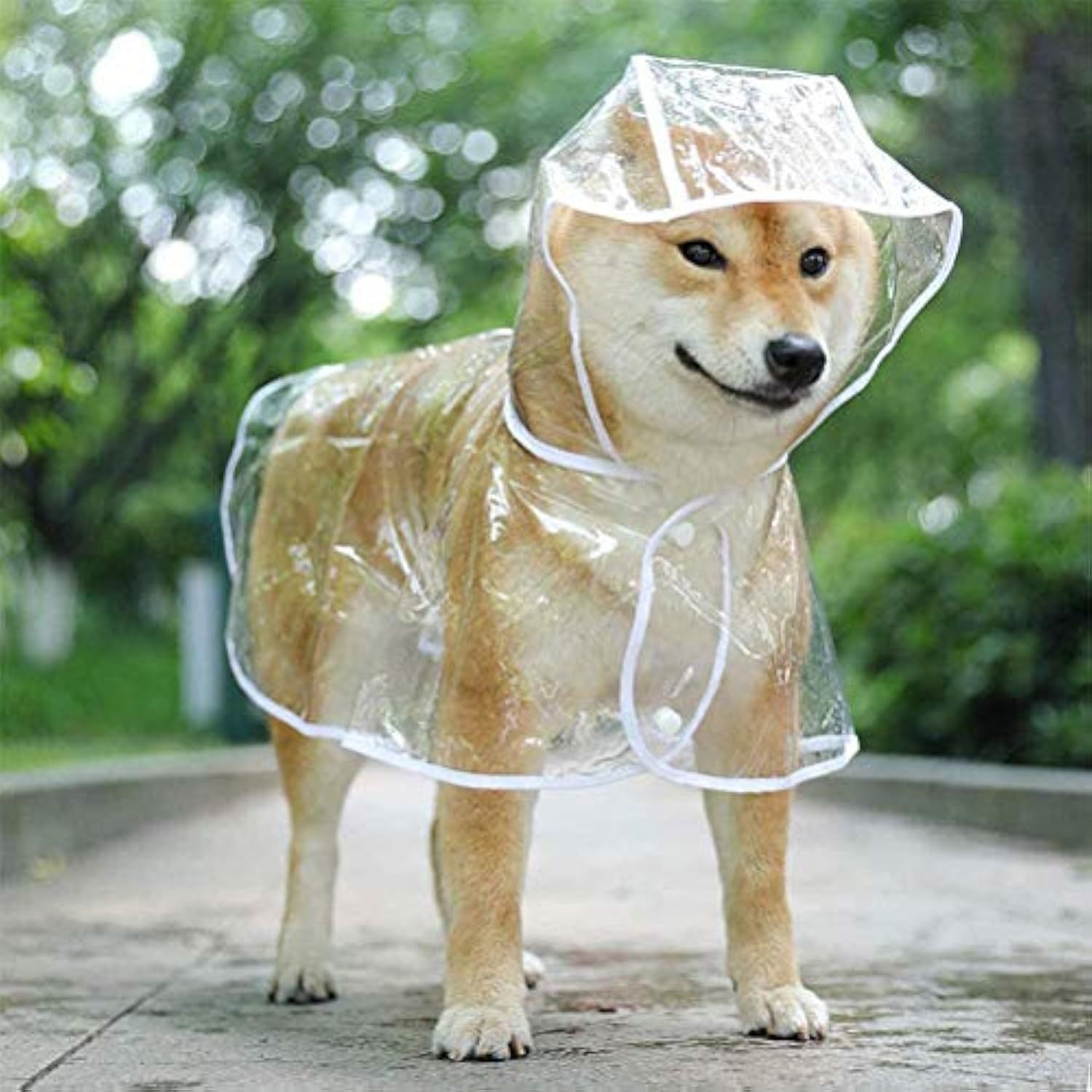 Waterproof Clear Breathable Raincoat With Hooded - Image 2