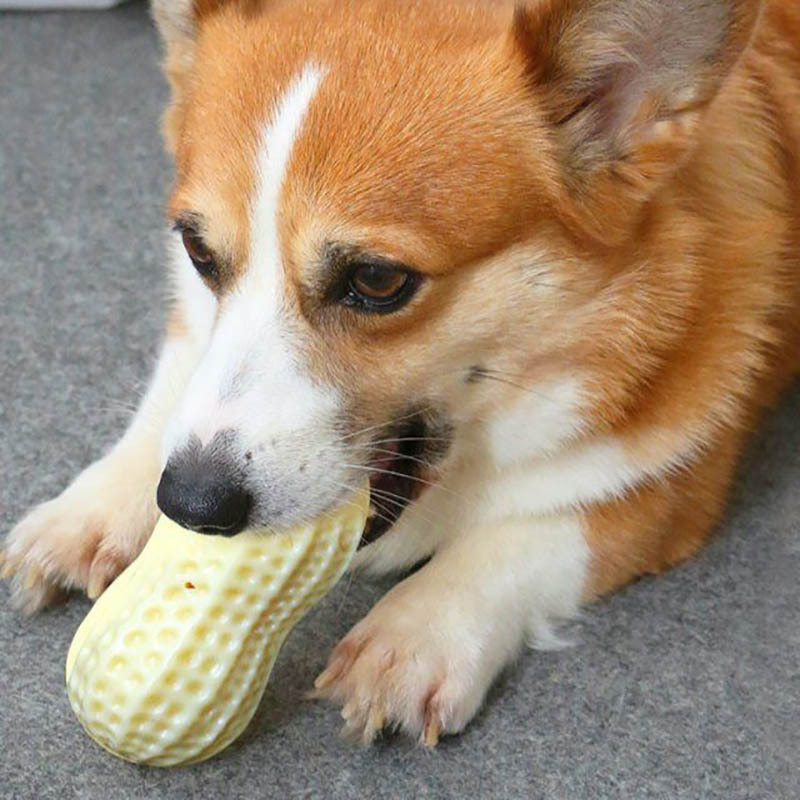 Pets Peanut Rubber Tooth Chew Toy - Image 2