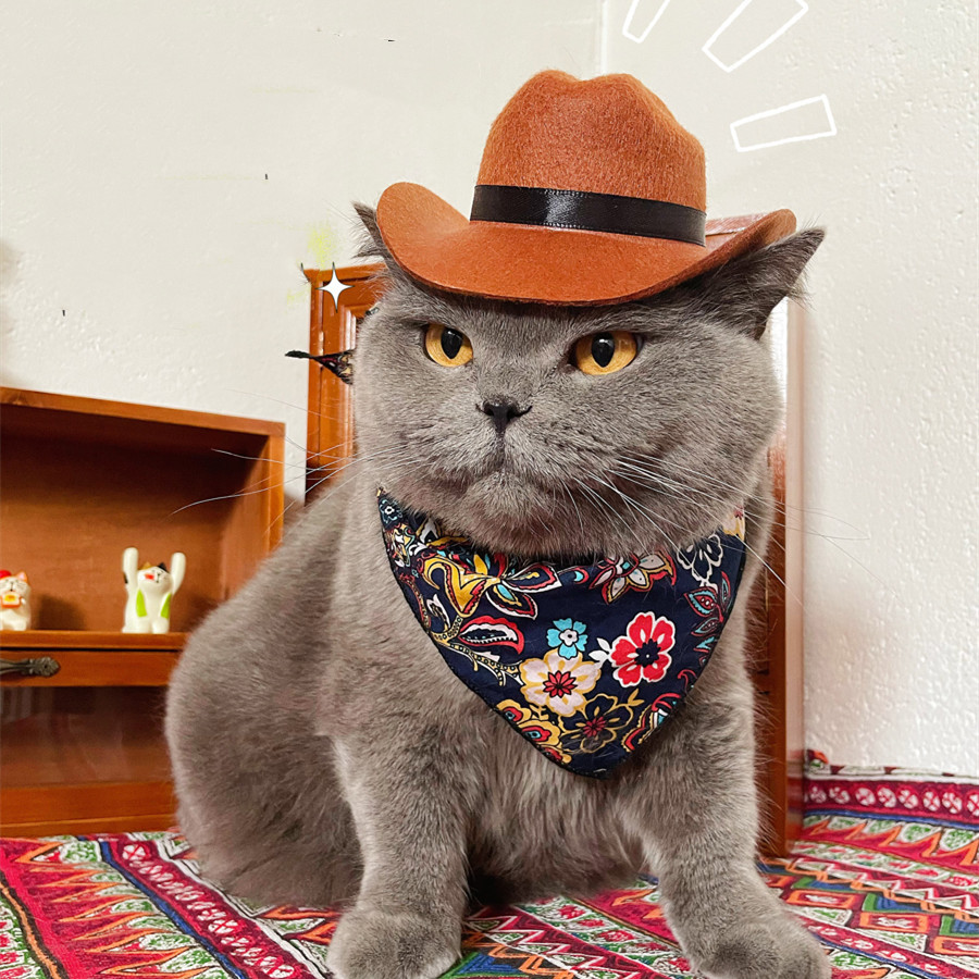 Pet Cowboy Western Decorative Hat