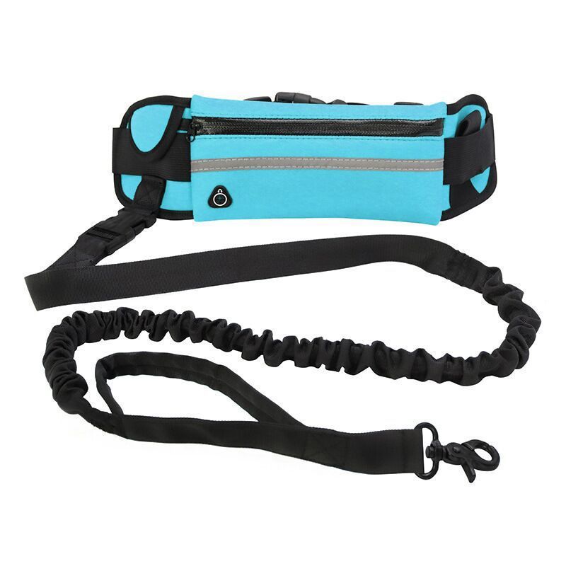 Hands Free Pet Purse Leash For Dog Walking - Image 3