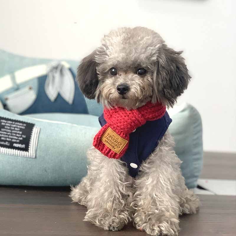 Winter Collar Bandana Warm Neckscarf Strap - Image 7