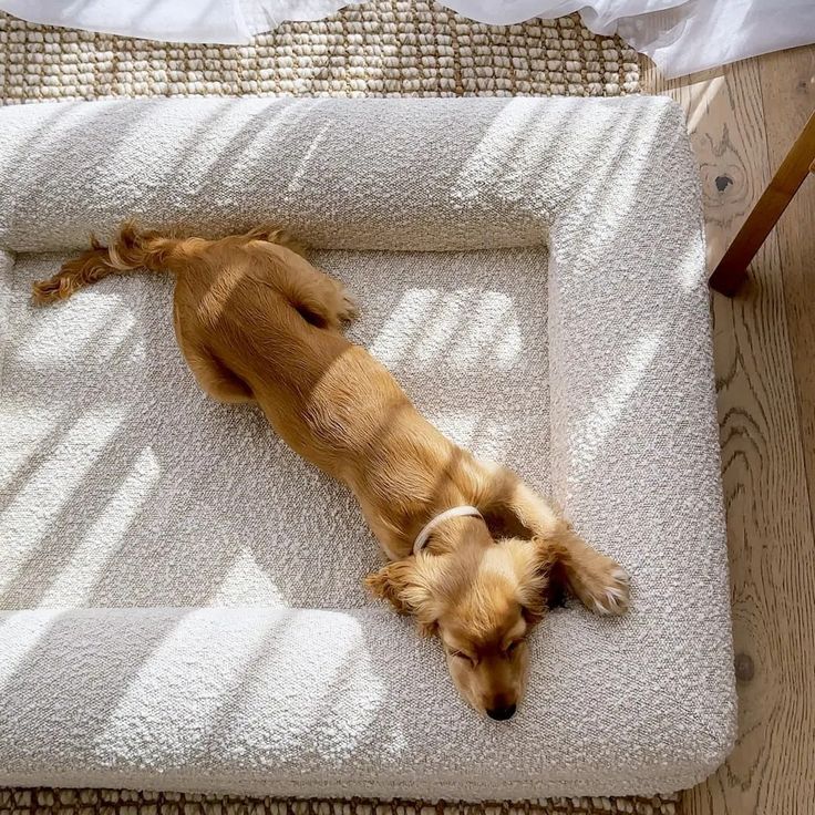 Rectangular Nest Pet Kennel Sofa Bed