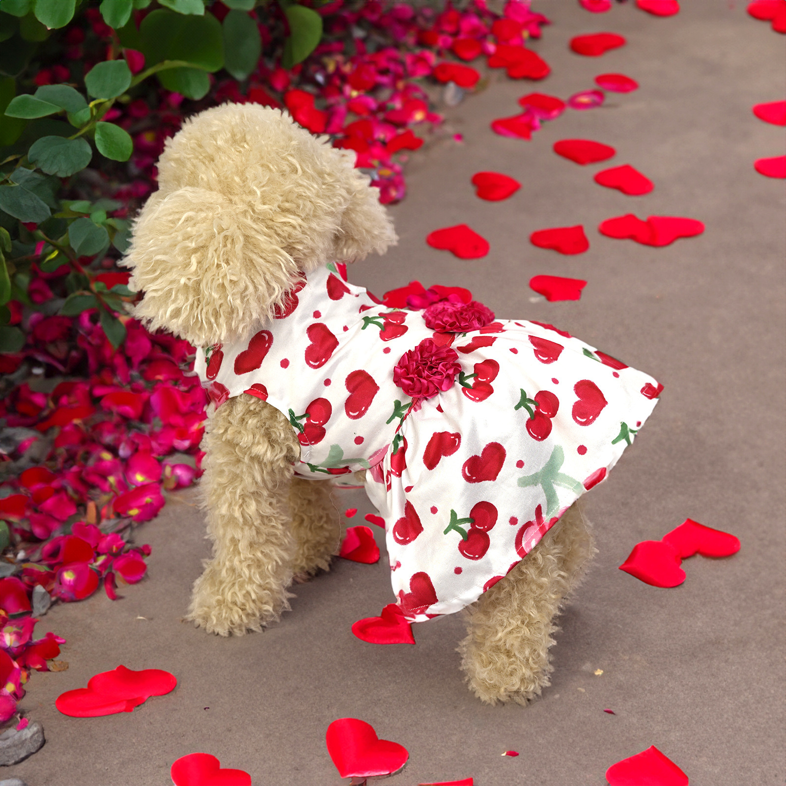 Creative Pet Cute Floral Printed Skirt