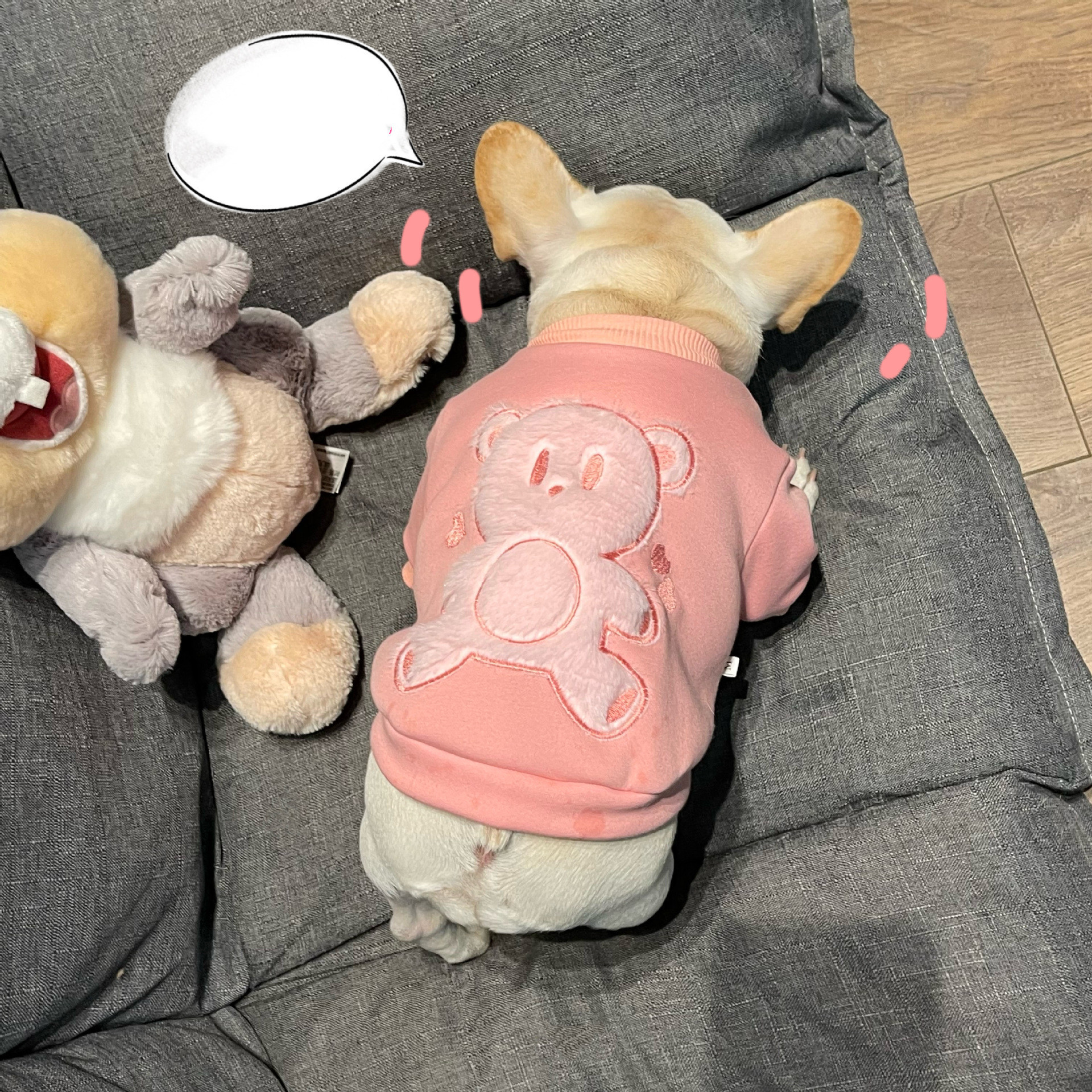 Princess Pet Dog Plush Sweater