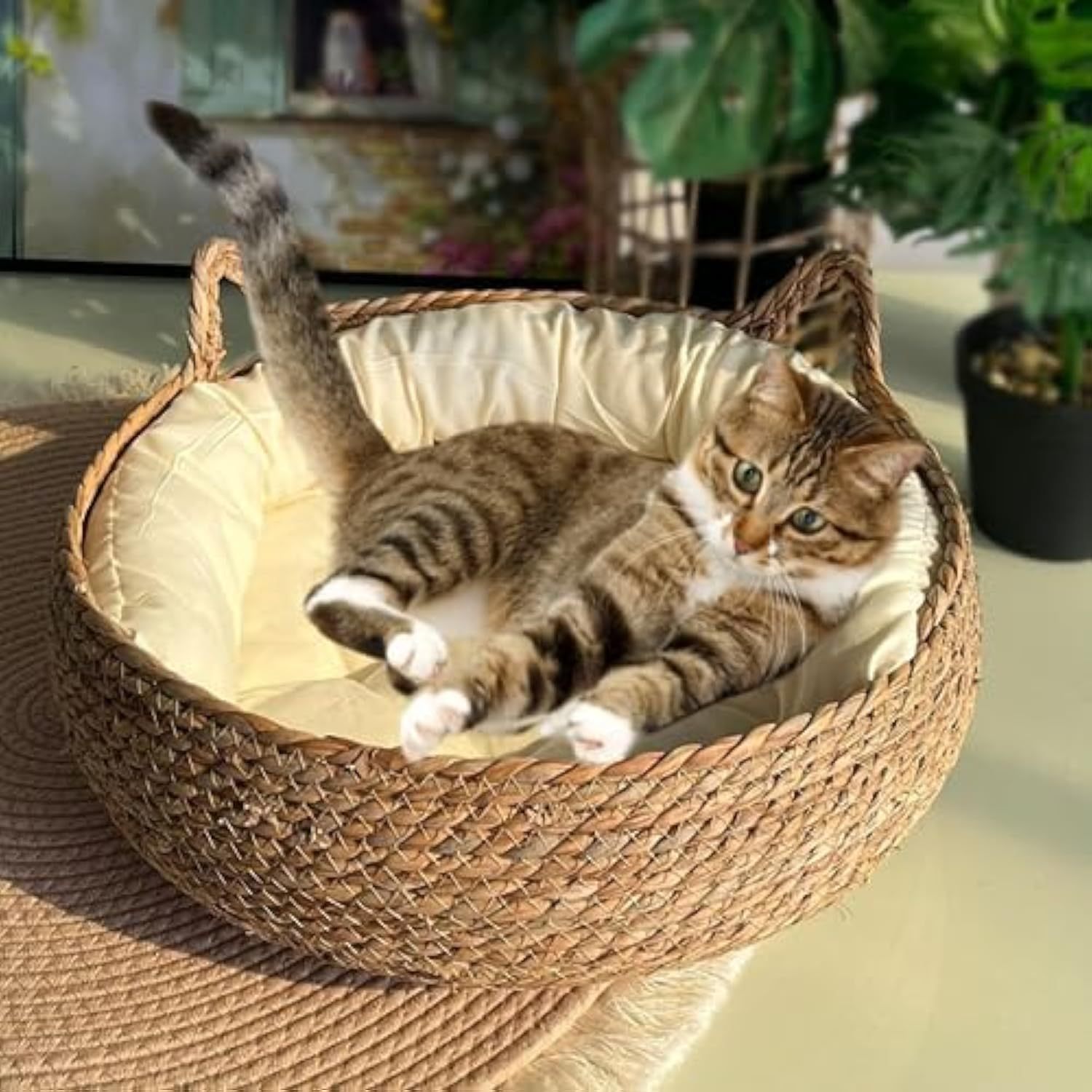 Handmade Braided Cattail Leaf Pet House