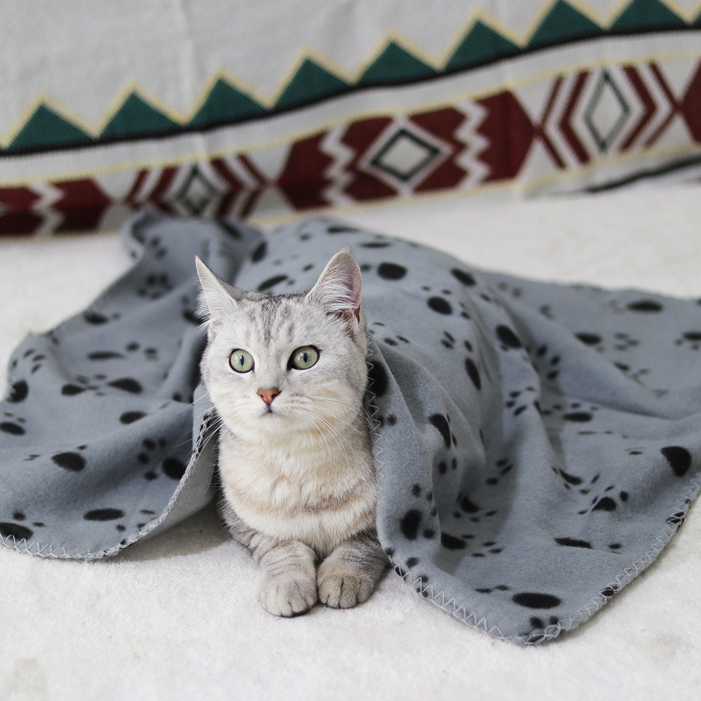 Double-Sided Fleece Warm Pet Blanket