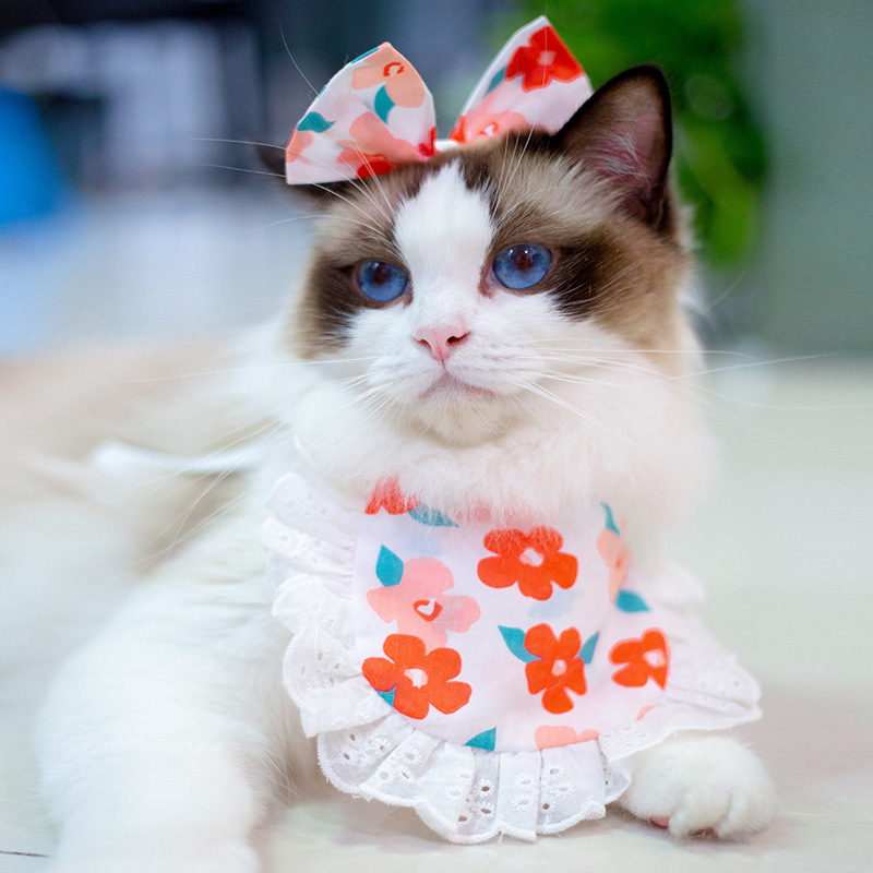 Princess Saliva Scarf Cat Lace Suit - Image 10
