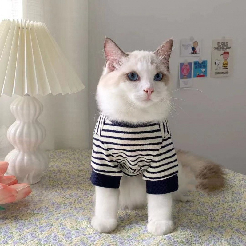 Puppet Cat Two Pod Sweater - Image 3