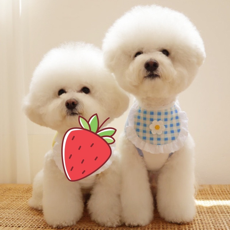 Cute Puppy Dog Plaid Flower Bib - Image 2
