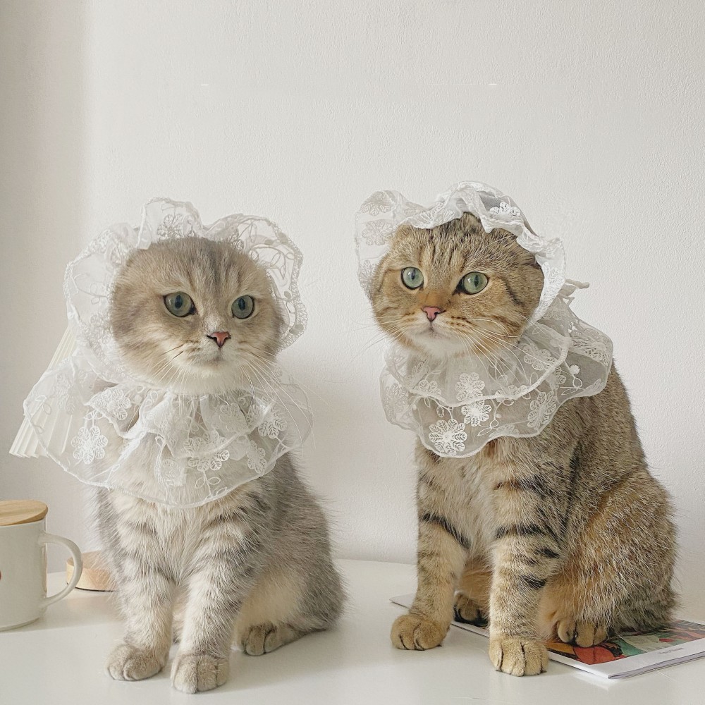 Small Dog Lace Scarf For Cat