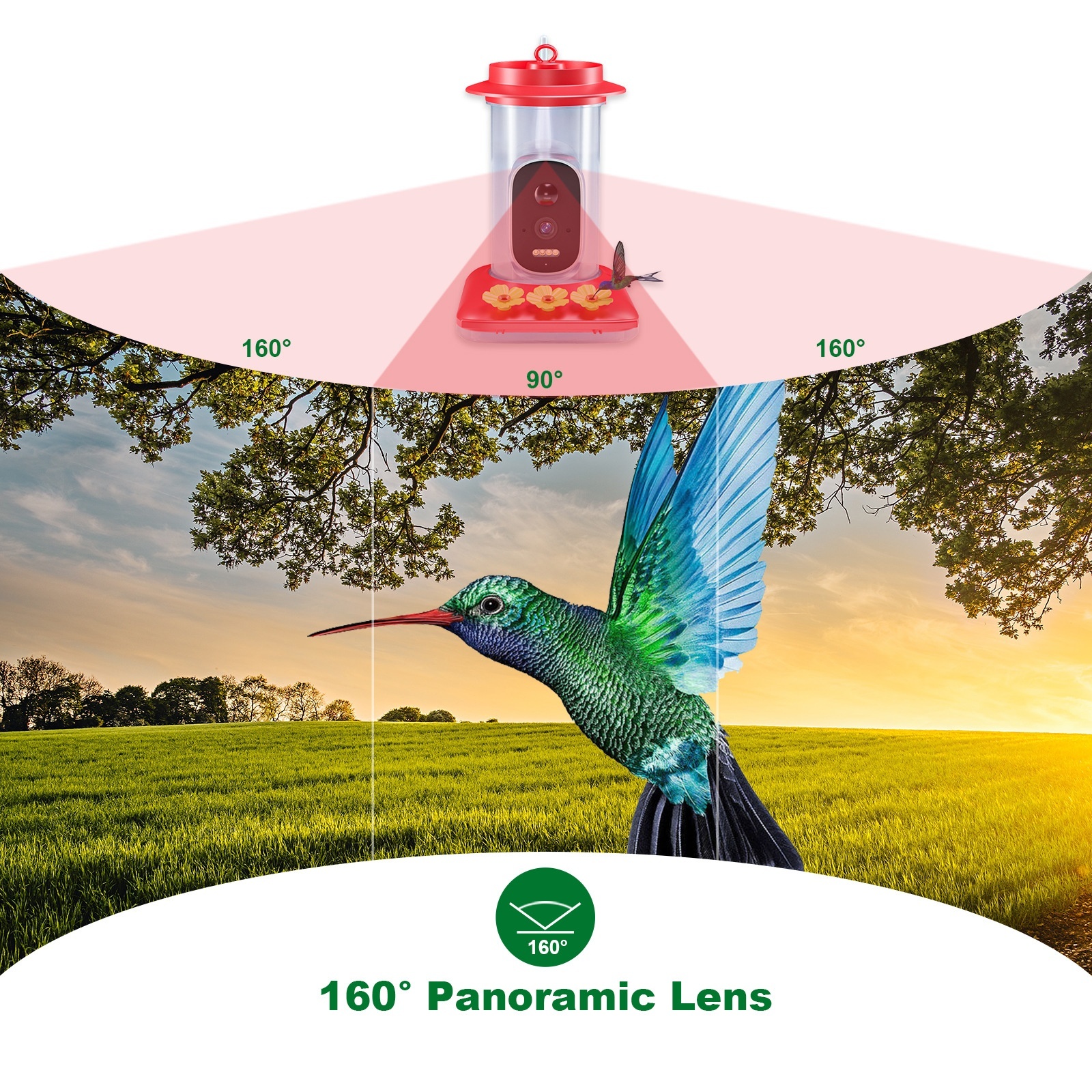 Intelligent Visual Hummingbird Water Feeder - Image 5