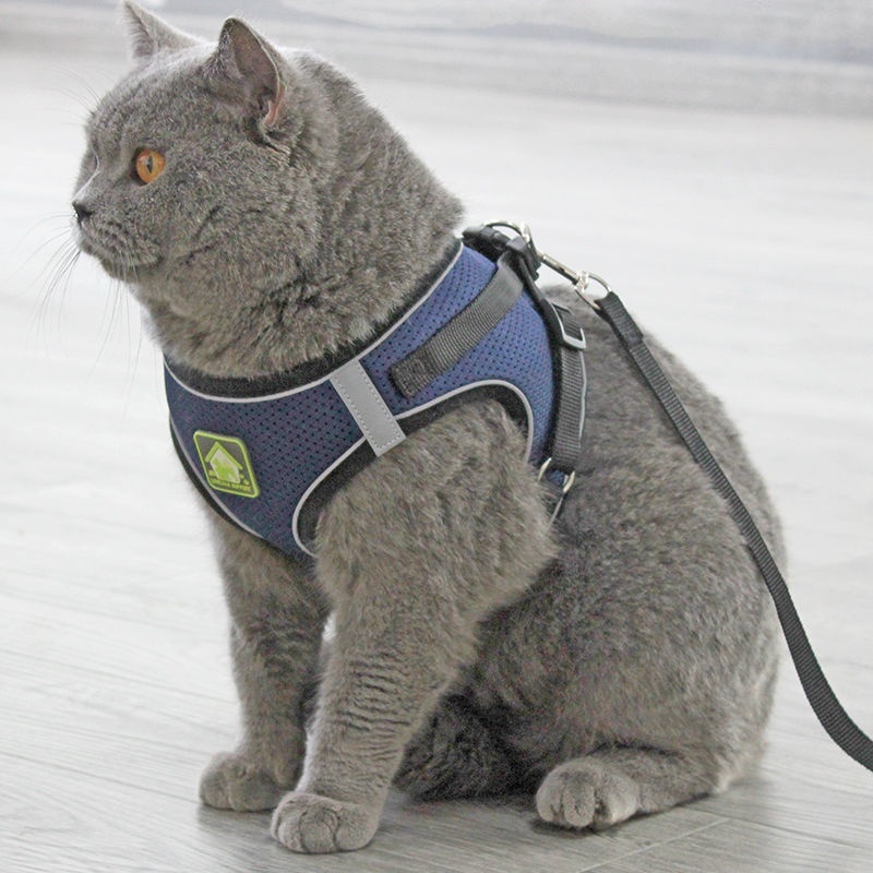 Anti-Escape Breathable Cat Walking Leash Vest - Image 10