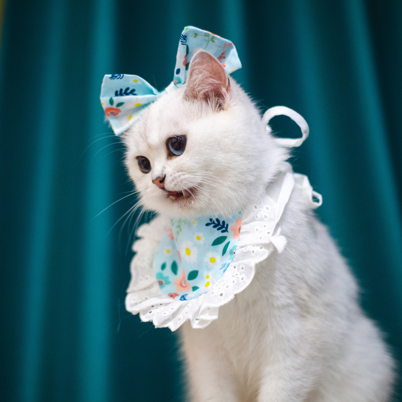 Princess Saliva Scarf Cat Lace Suit - Image 4
