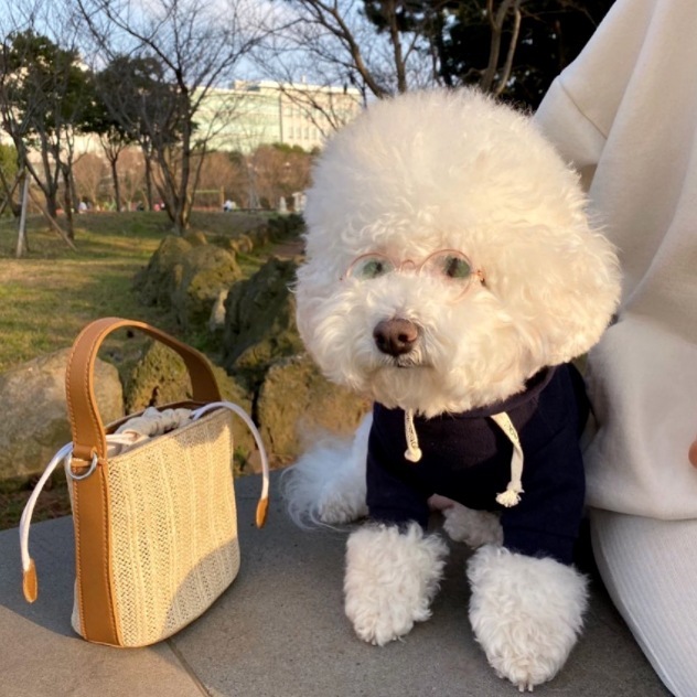 Fashion Simple Pet Dog Sweater