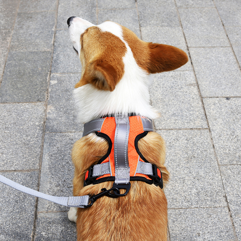 Dog Hand Holding Rope Vest Dog Strap - Image 4