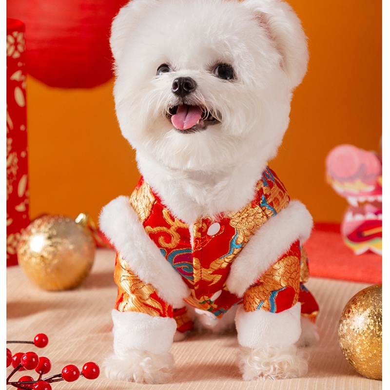 Dragon Brocade Pet Jumpsuit