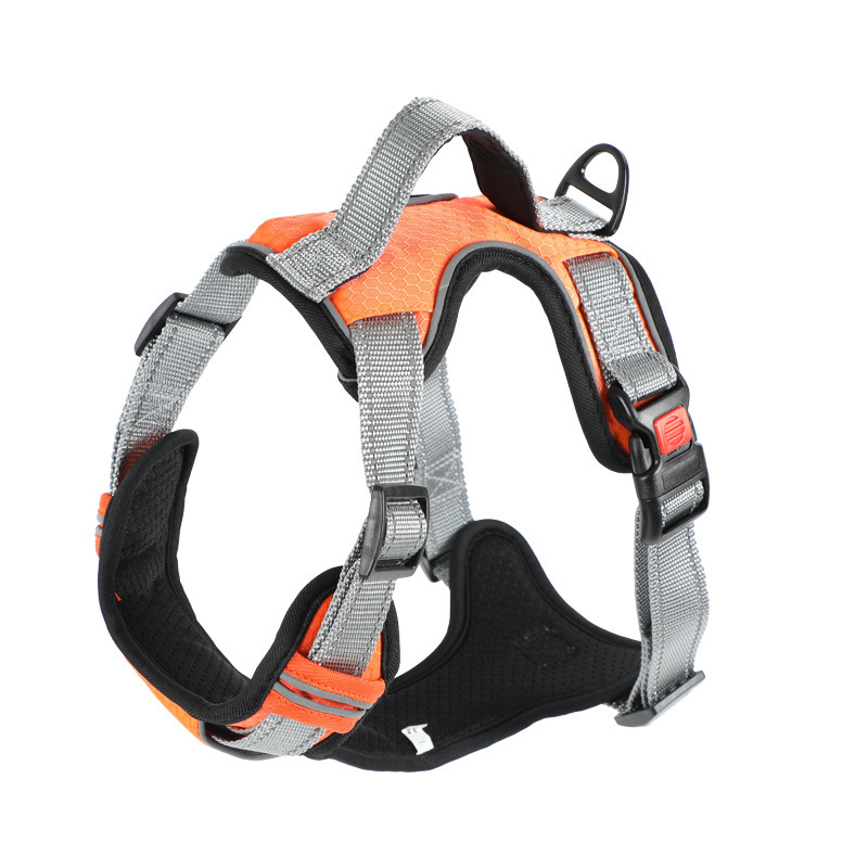 Dog Hand Holding Rope Vest Dog Strap - Image 5