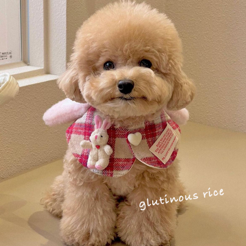 Pet Saliva Scarf Towel