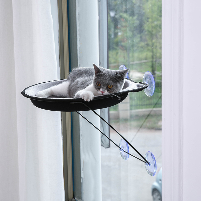 Sun-Drying Sucker Window Round Sill Nest