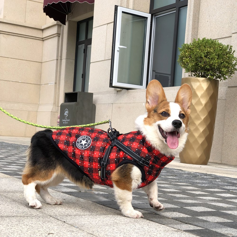 Pet Waterproof Reflective Tape Chest Back Jacket