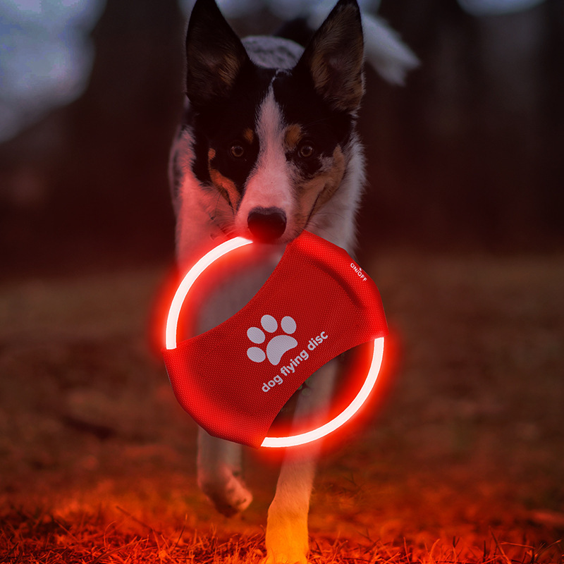 LED Flying Luminous Trainning Disc Dog - Image 10