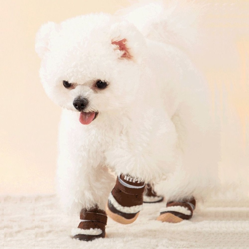 Anti-slip Thick Rain Snow Outdoor Puppy Shoe - Image 4