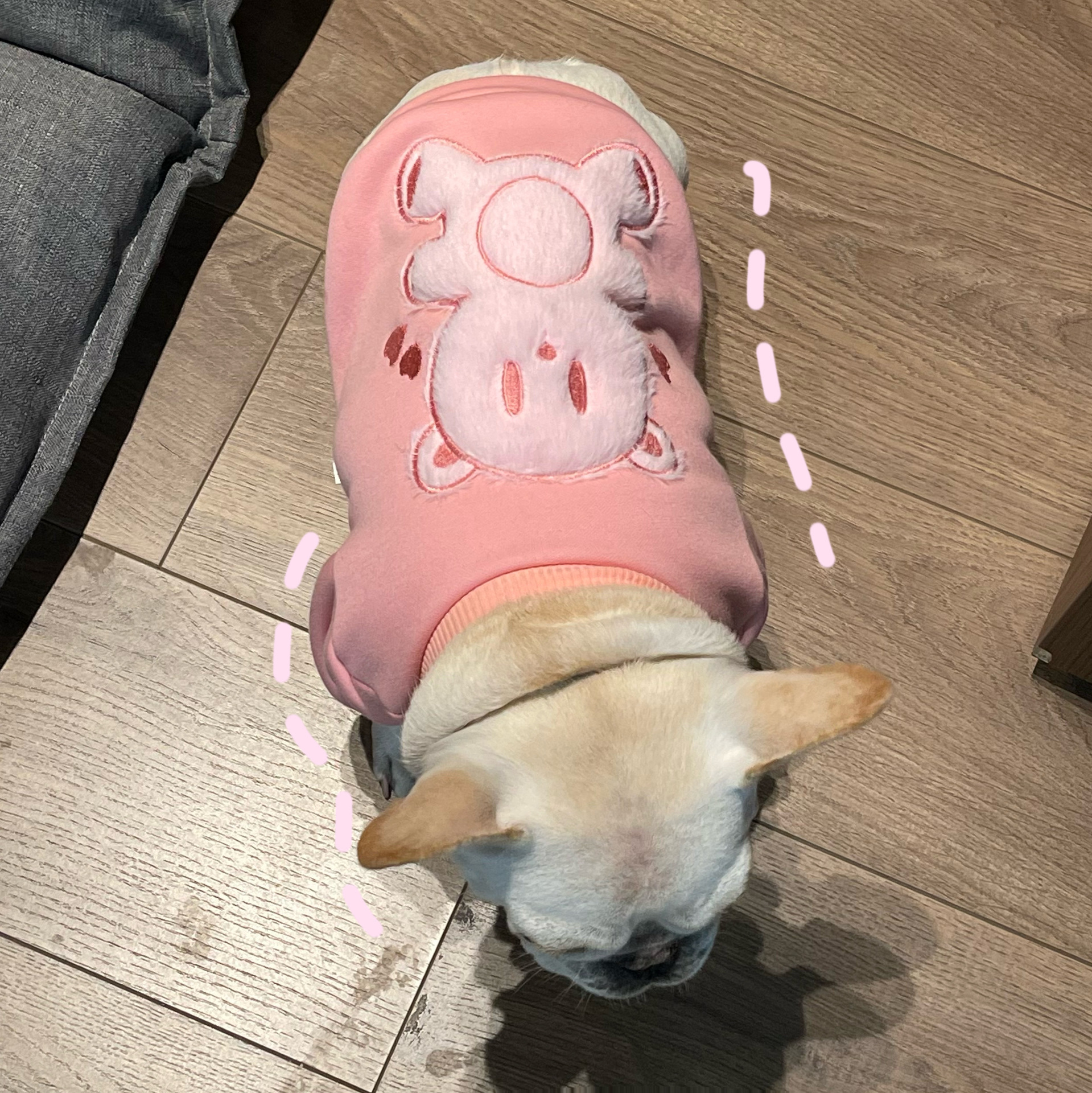 Princess Pet Dog Plush Sweater - Image 4