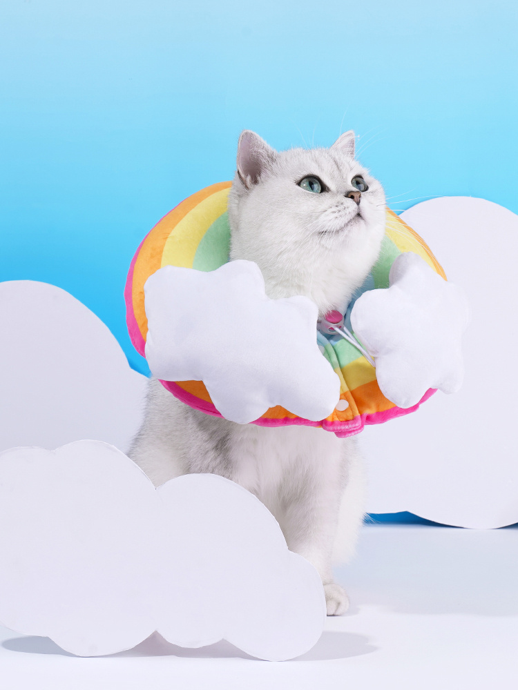 Pet Fashion Rainbow Anti-Lick Collar Cover - Image 6
