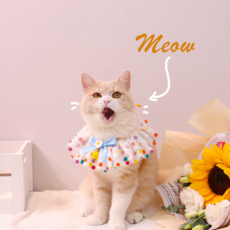 Fashion Personality Pet Collar Bib - Image 4