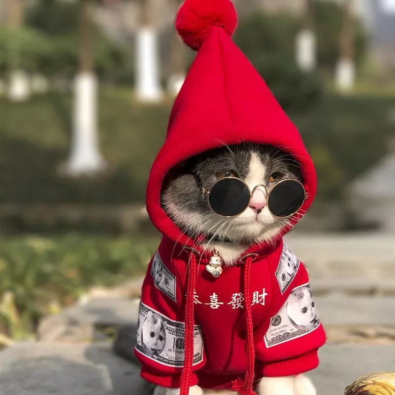 Pure Cotton Plus Fleece Pet Sweater With Hood